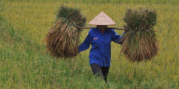 Can smallholders double their productivity and incomes by 2030?  #FAOdoc …