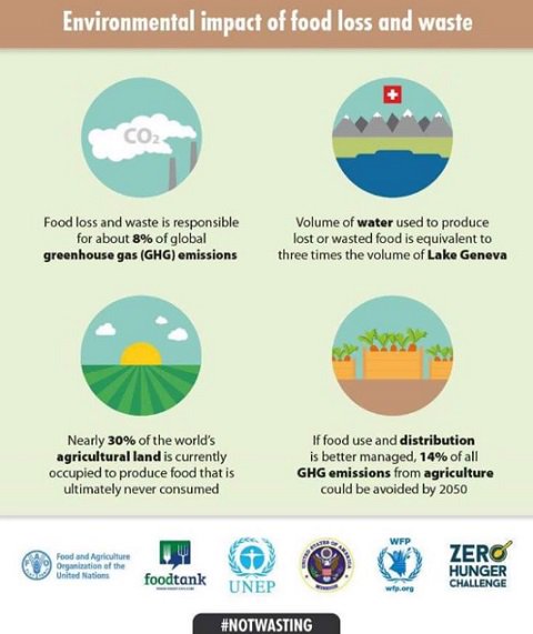 What are the environmental impacts of food loss and waste? Find …