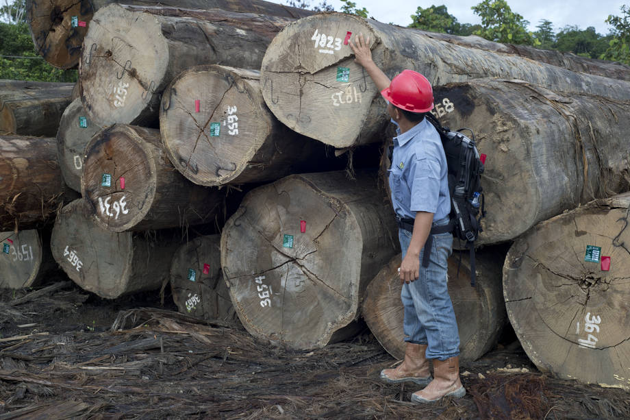 News | #Indonesia to issue world’s first #FLEGT licence certify…
