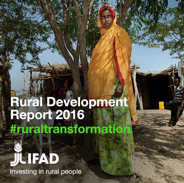 Explore the findings of the @IFADnews Rural Development Report 2016   #RuralTran…