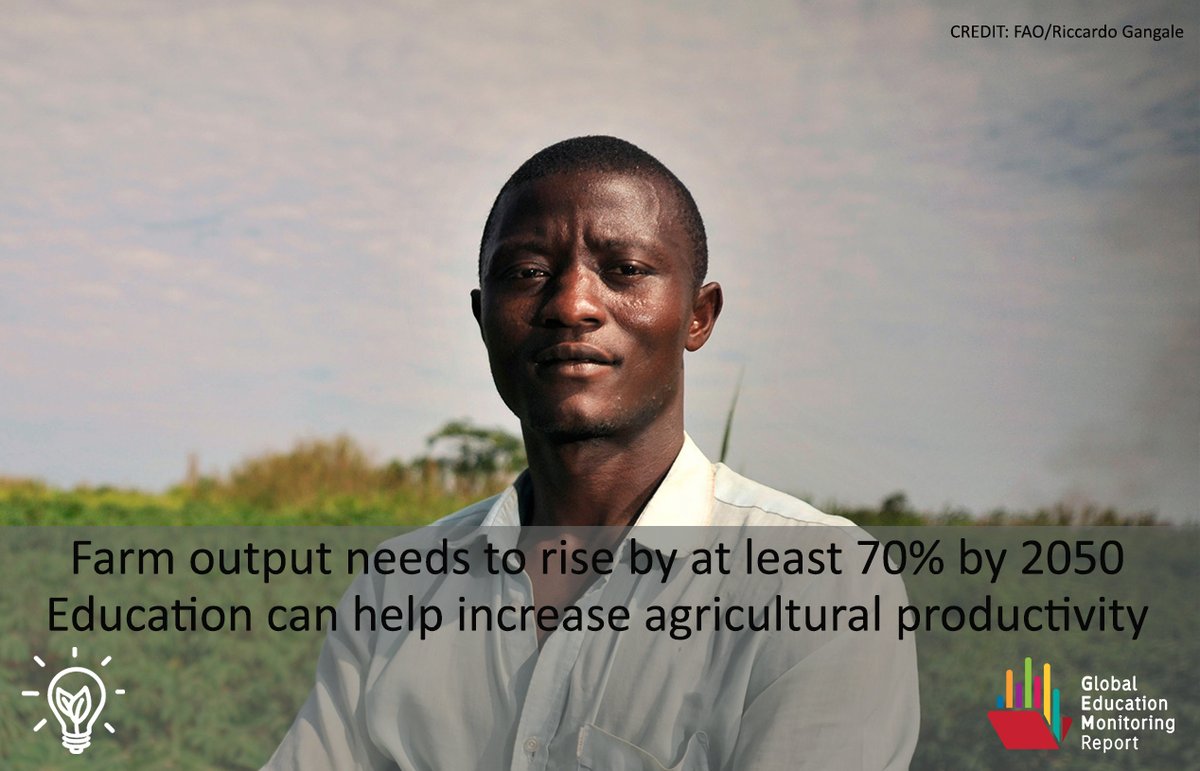 Field schools help farmers increase productivity by 12% & net revenue by 19%…
