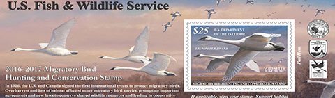 Learn about the history of the federal duck stamp program:  …