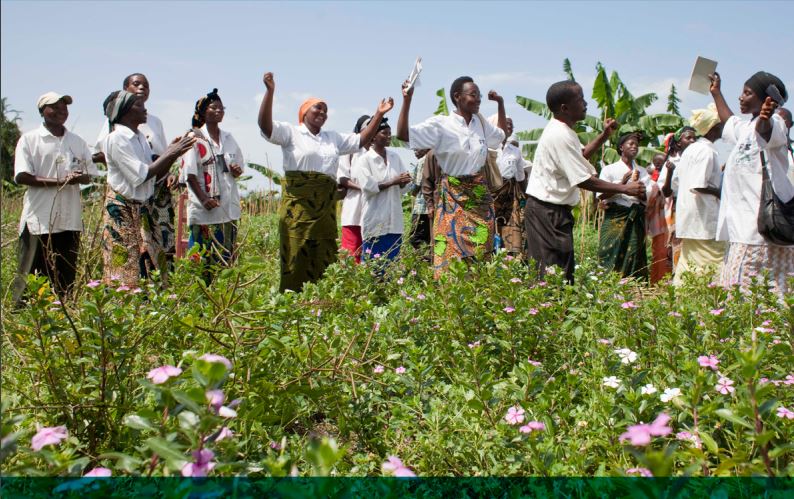 Local solutions to Social Protection – the role of rural organizations #FAOdoc  …