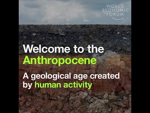 Welcome to the Anthropocene – A geological age created by human activity