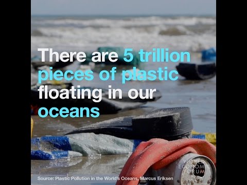 There are 5 trillion pieces of plastic floating in our oceans