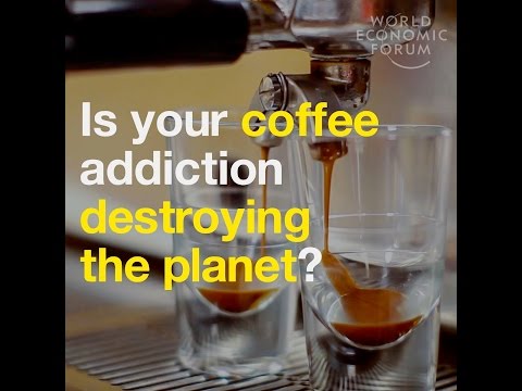 Is your coffee addiction destroying the planet?