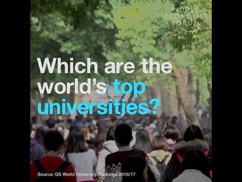 Which are the world’s top universities?