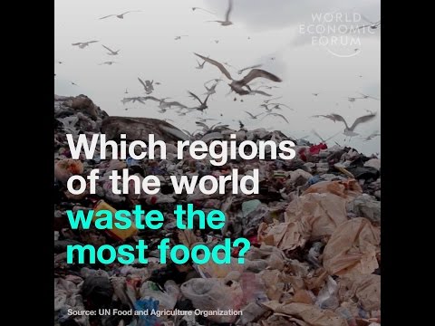 Which regions of the world waste the most food