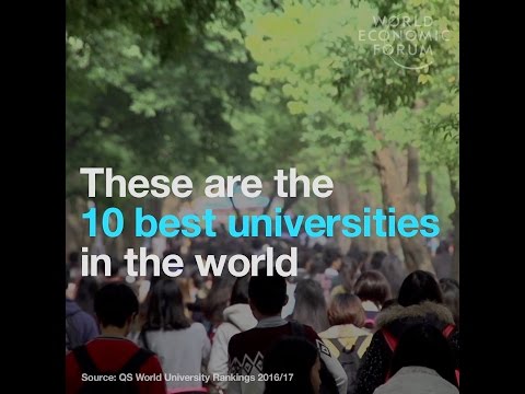 These are the 10 best universities in the world