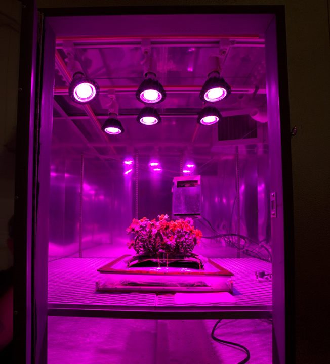 Growing interest…We’re seeking plant varieties that could gr…