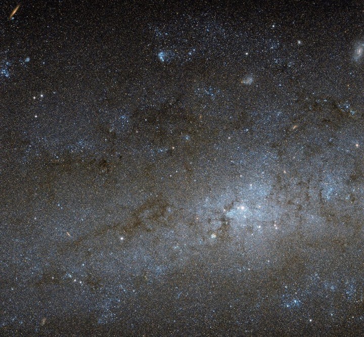 This NASA/ESA Hubble Space Telescope image shows the central region of a spiral …