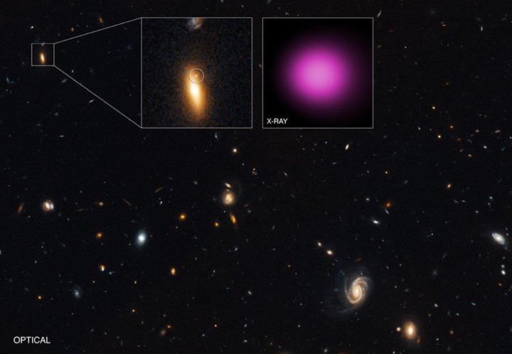 Can black holes wander? This peculiar object could be a wand…