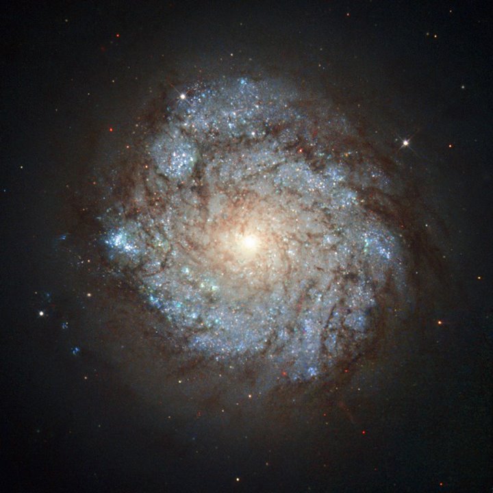 This image, taken by the NASA/ESA Hubble Space Telescope, shows a spiral galaxy …