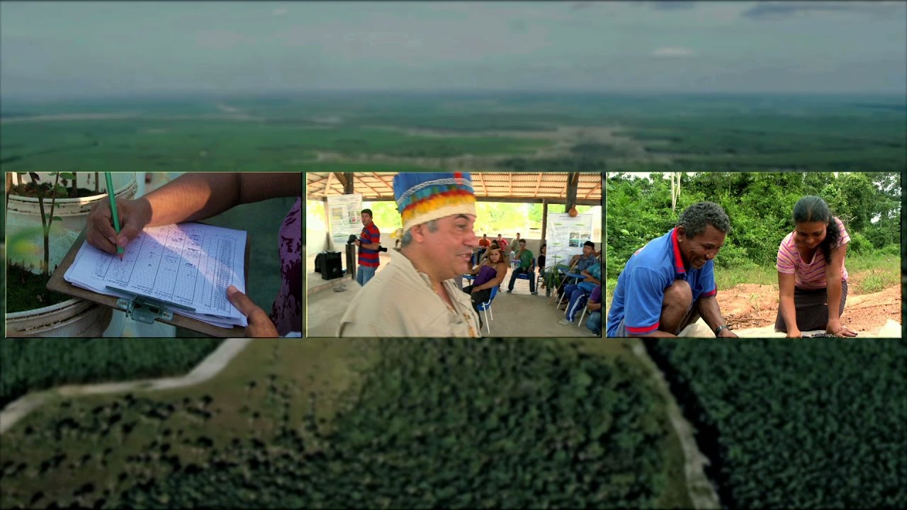 Roraima: Dreaming In Green