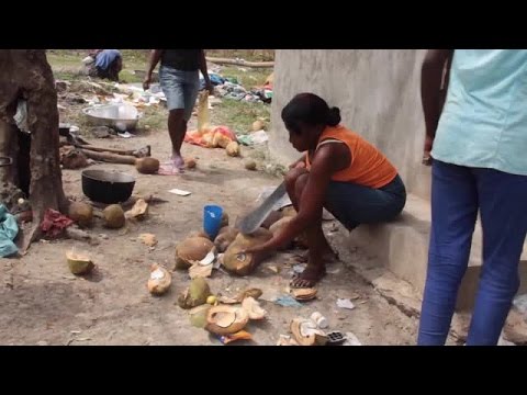 Hurricane Matthew – WFP Distributing food in worst