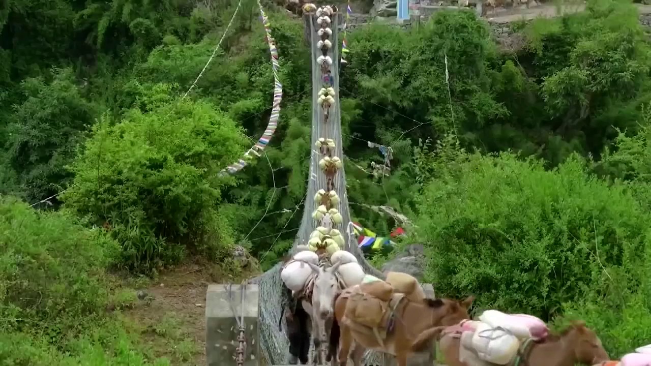 How can climate change resilience bring opportunities to reduce inequalities?