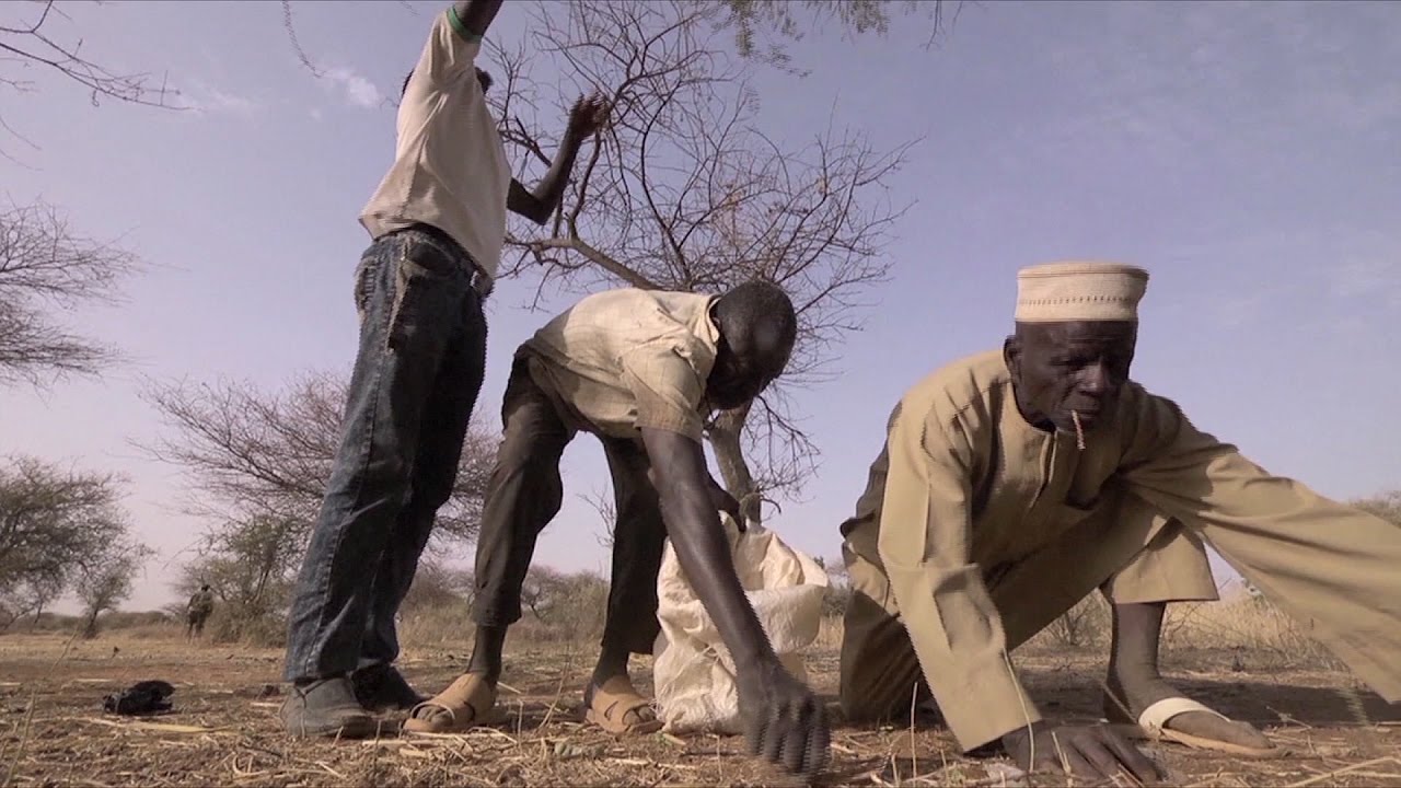 UN agricultural development chief: “What feeds people is action on the ground”