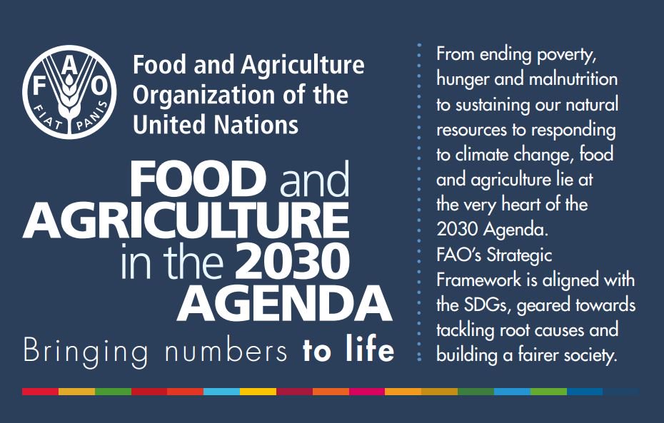 Food and agriculture in the 2030 agenda: Bringing numbers to life  …