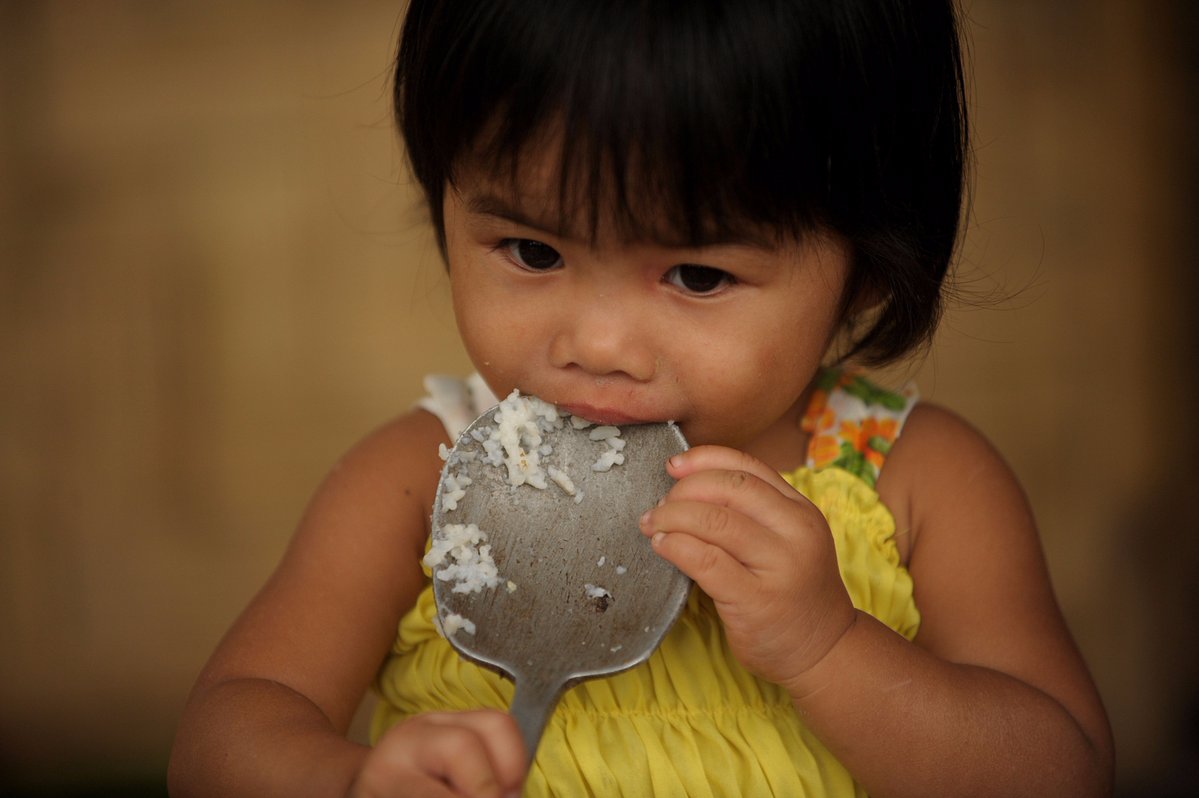 Consultation | Maximizing the Impact of the #UN Decade of Action on Nutrition  …