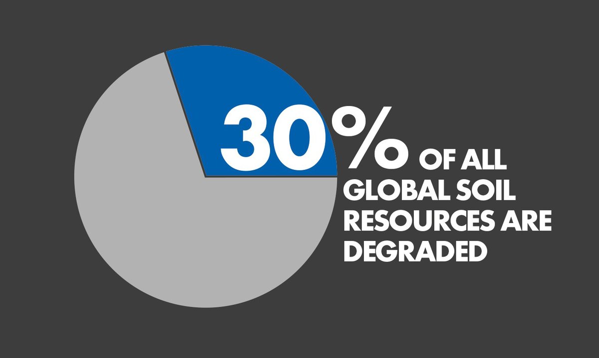 30% of all global soil resources are degraded #COAG25 …