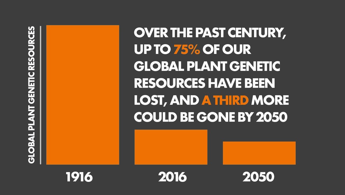 Over the past century up to 75% of our global genetic plant resources have been …