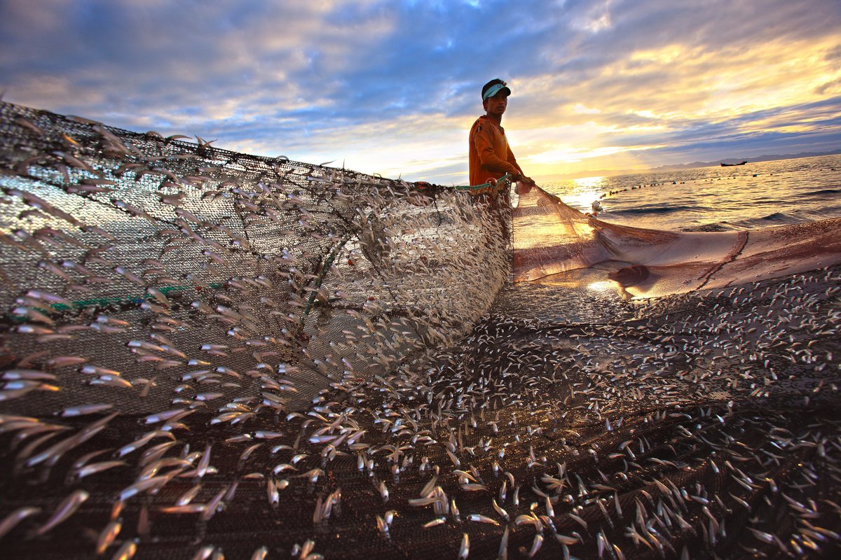 Congratulations to Angola on ratifying the Work in Fishing Convention, 2007. …