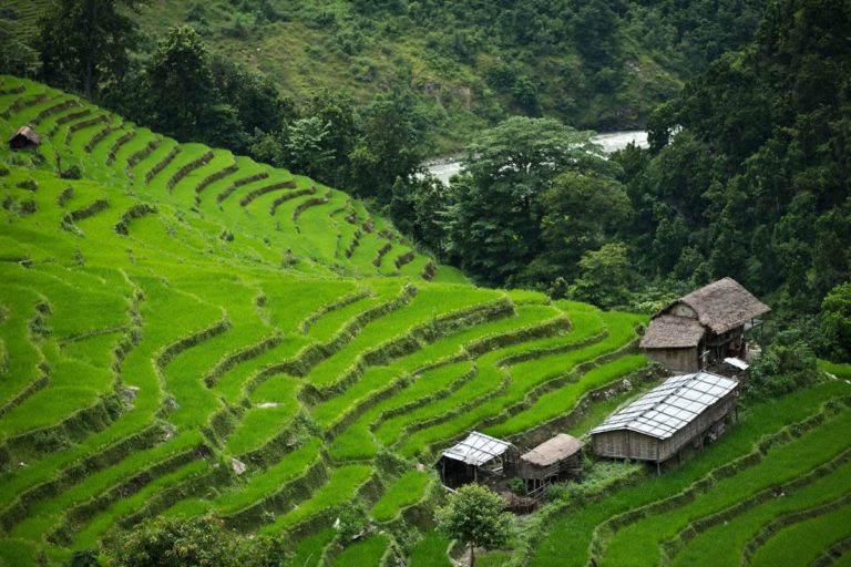 Upgraded #irrigationsystems yield better harvests and bigger income for #Nepal’s…
