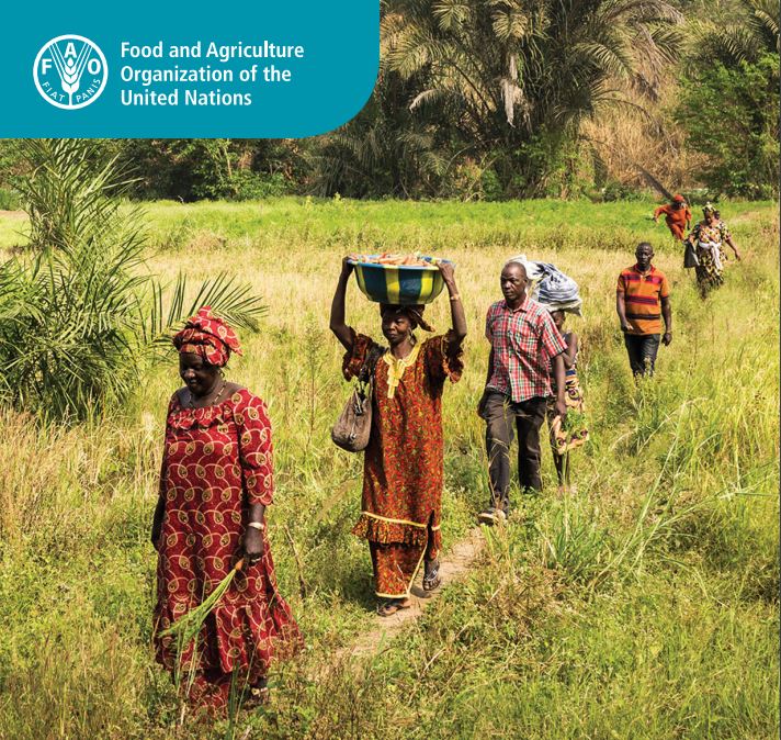 Decent rural employment in different farming systems in Sub-Saharan Africa  …