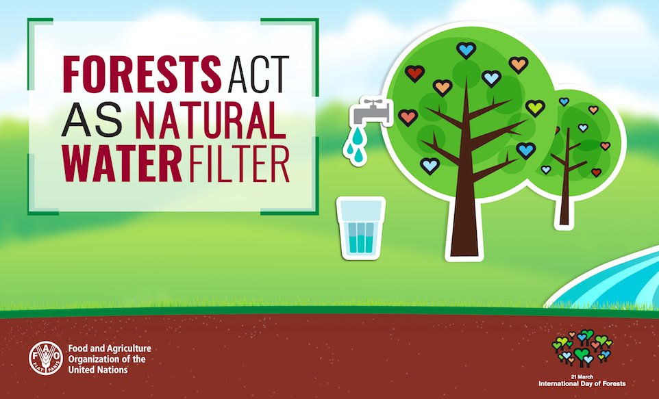 #Forests act as natural water filters   #ForestH2O …