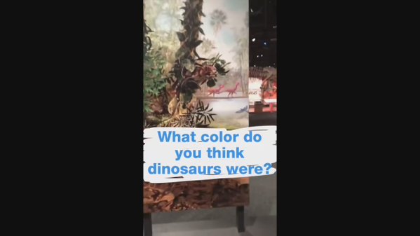 Happy #NationalFossilDay!!! …