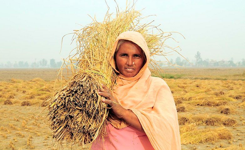 Advancing women’s land and resource rights