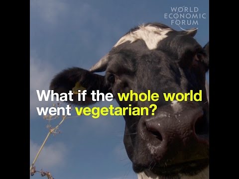 What if the whole world went vegetarian?