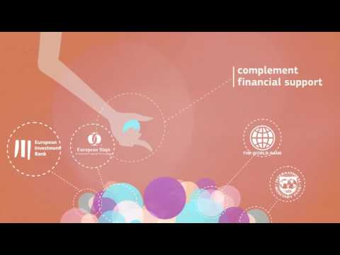 Macro-Financial Assistance