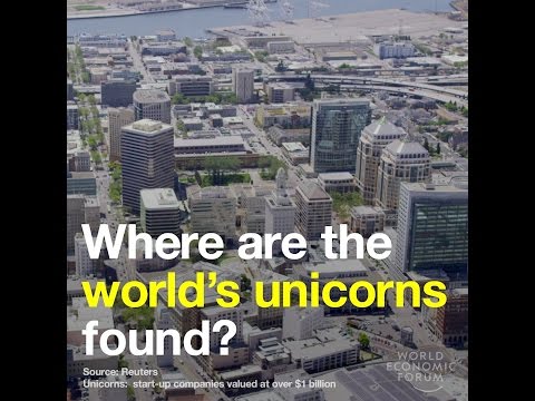 Where are the world’s unicorns found?