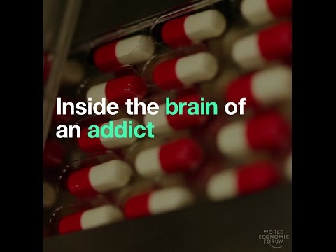 Inside the brain of an addict