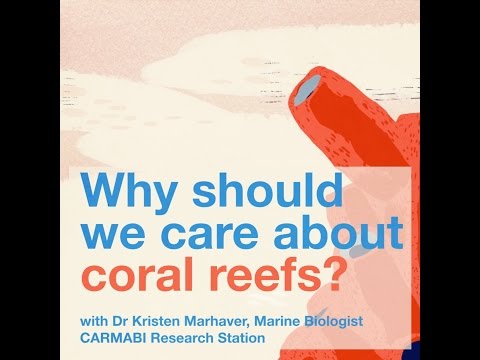 Why should we care about coral reefs?