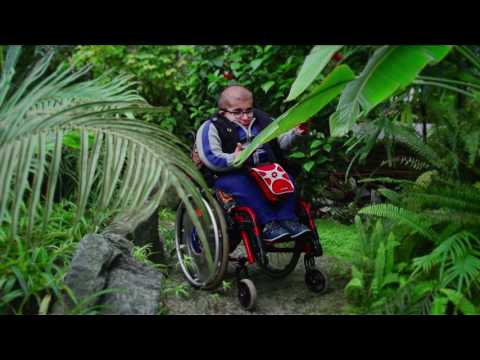 Access City Award 2017: what is it?