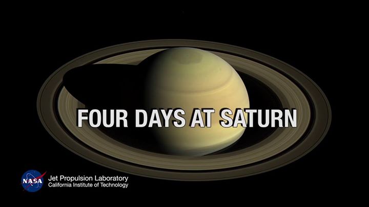 Humans sometimes struggle to adjust to Daylight Saving Time,…