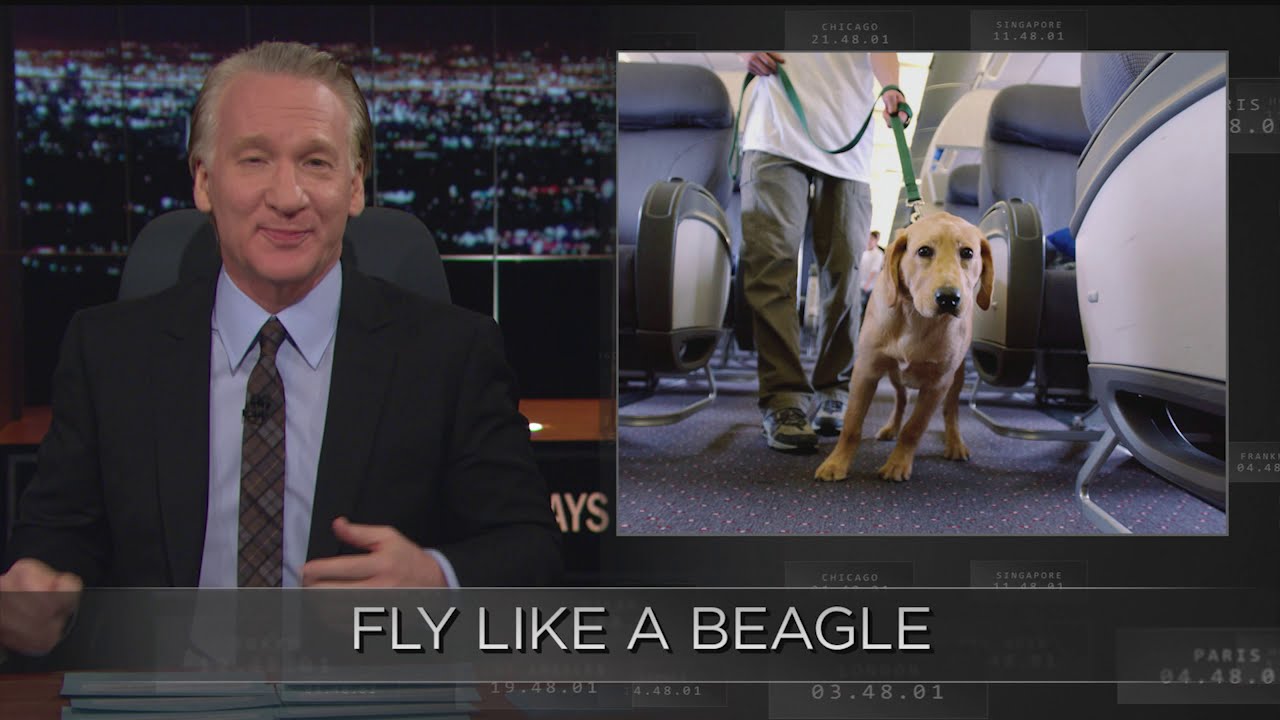Web Exclusive New Rule: Fly Like a Beagle | Real Time with Bill Maher (HBO)