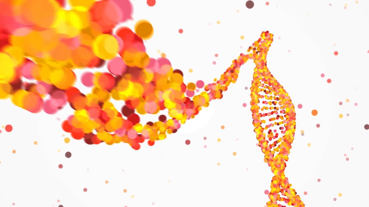 The DNA of Global Growth