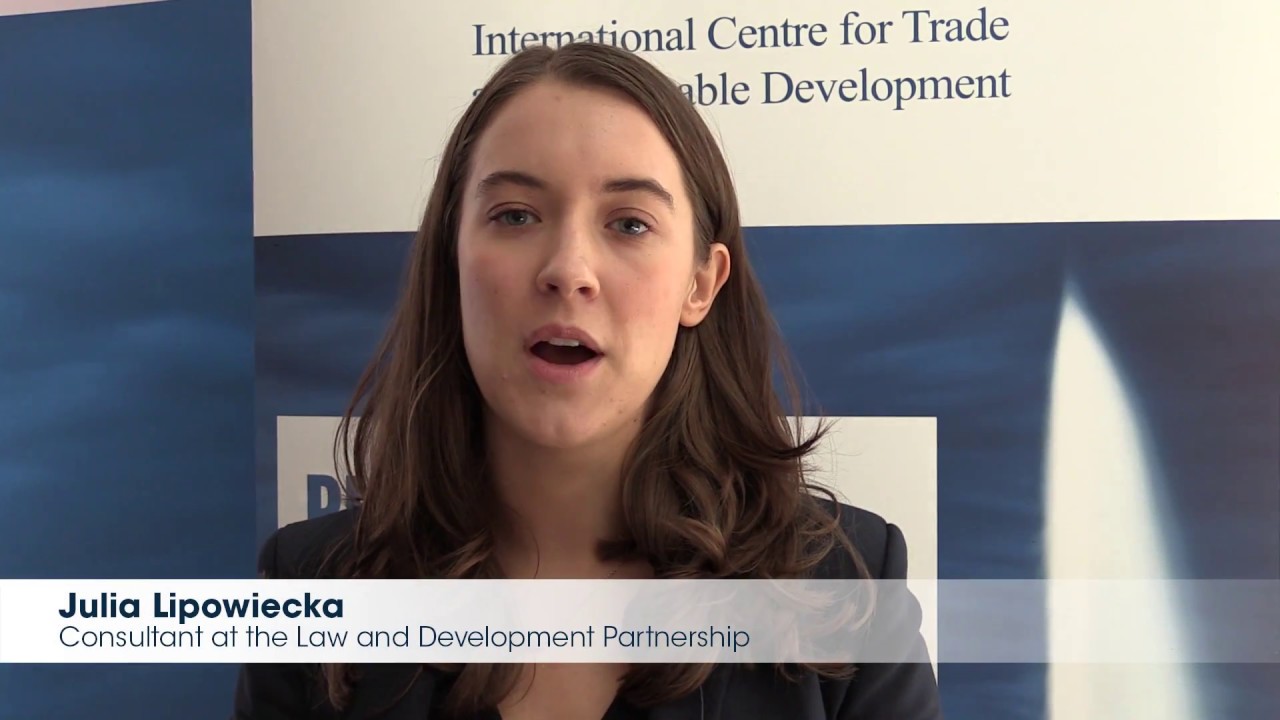 Julia Lipowiecka – The Gender Dimensions of Services