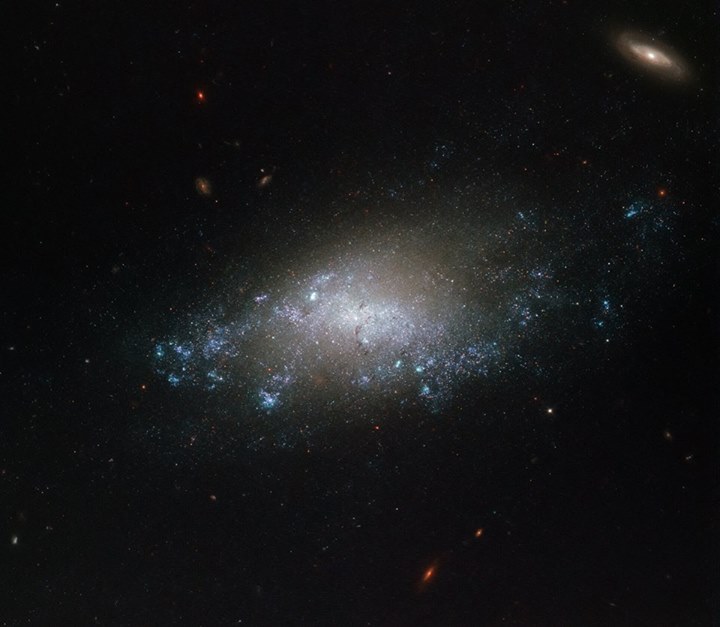 This latest image of the week courtesy of the NASA/ESA Hubble Space Telescope is…