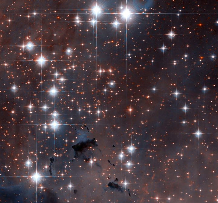 This spectacular section of the well-known Eagle Nebula was targeted by the NASA…