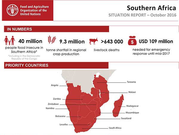 40 mln ppl food insecure in #SouthernAfrica & #DRCongo #…
