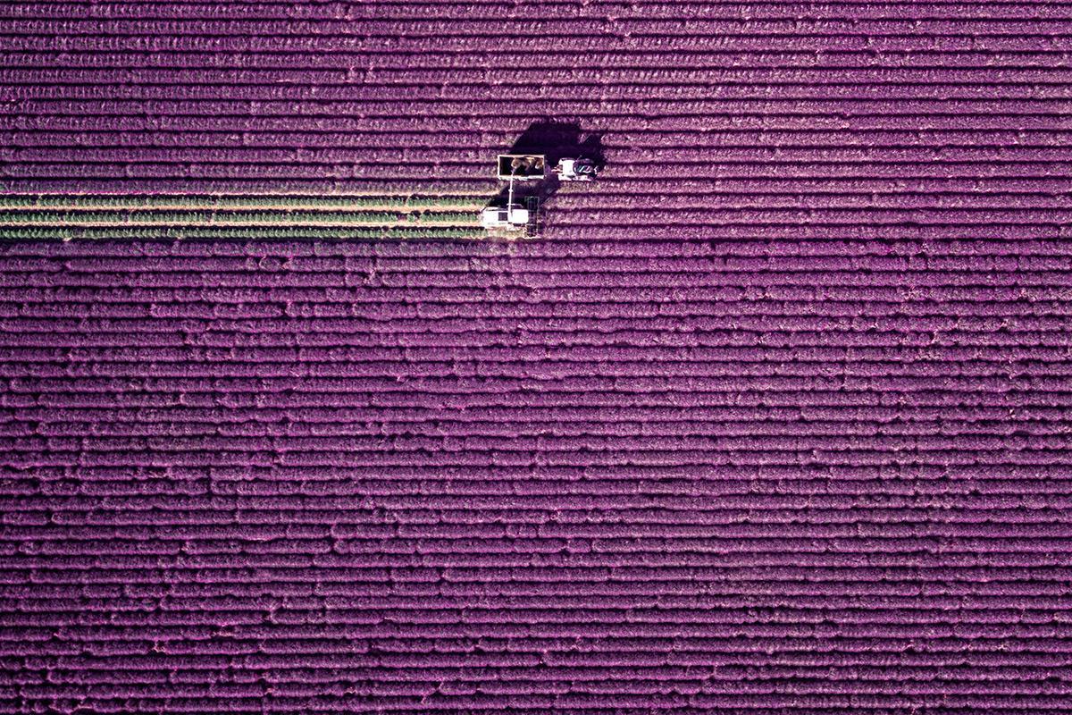 Inside the weirdly calming world of farming and truck simulato…
