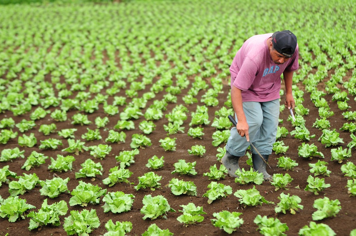 What are the employment opportunities of adapting to climate change? Find out:  …