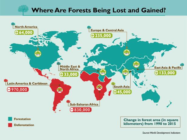 Infographic: This is where #forests have been gained and lost glo…