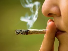 More Voters Support #Legalizing #Recreational #Pot  #Marijuana …