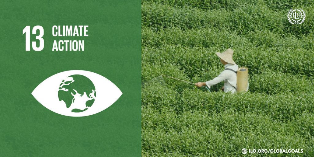 Will climate action deliver decent work? Here’s what an @ILO expert has to say: …
