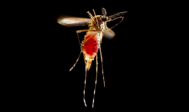 Learn about the Army’s Zika vaccine development:  …